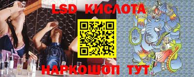 прущие грибы Краснознаменск