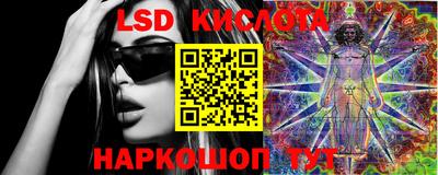 прущие грибы Краснознаменск