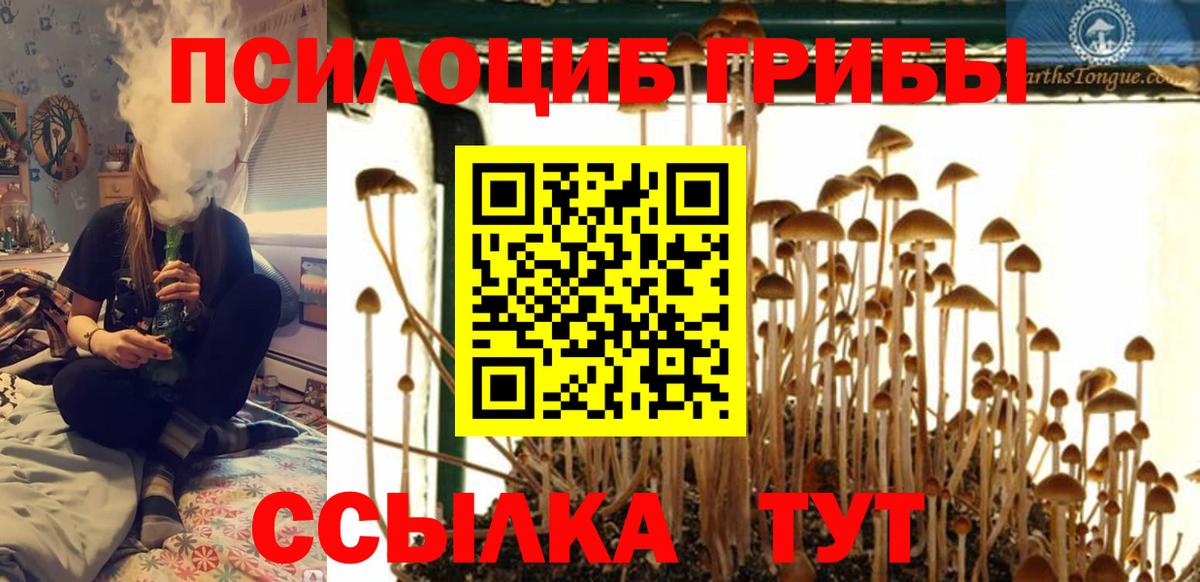 Псилоцибиновые грибы MAGIC MUSHROOMS  Вход с VPN  Псилоцибиновые грибы GOLDEN TEACHER  Домодедово 